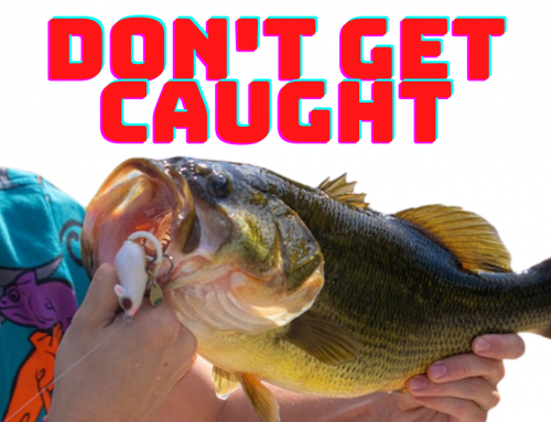 Don’t get caught like a Bass in a lake in Phishing Attack.