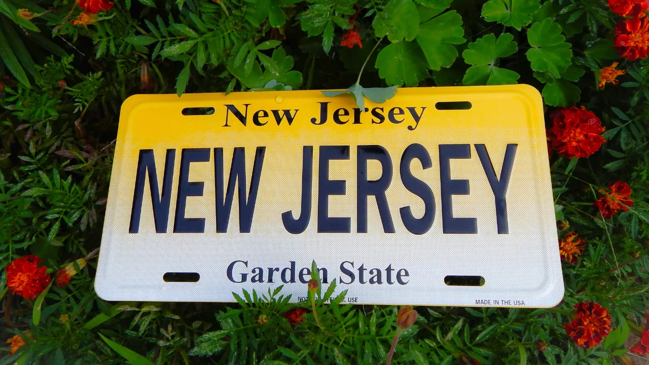 New Jersey IT Consulting